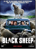 Black Sheep